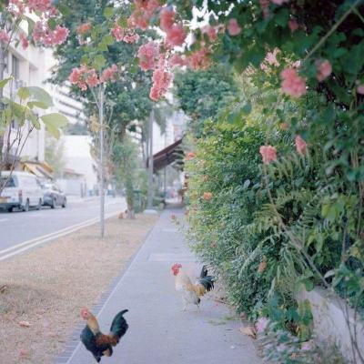 AG官方平台下载地址app下载