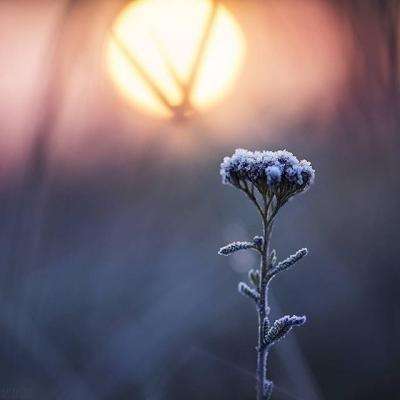 江南app下载官网