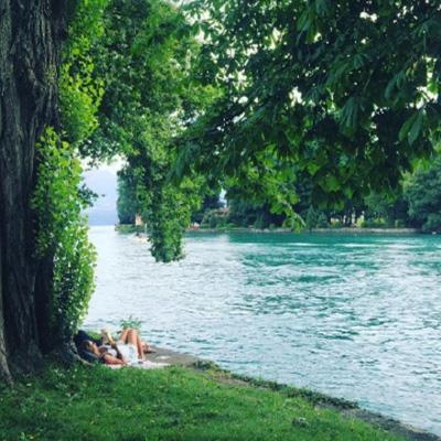 998娱乐彩票安卓APP截图