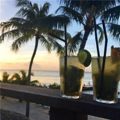 亚星手机版app下载