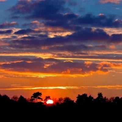 365体育中国官方网站