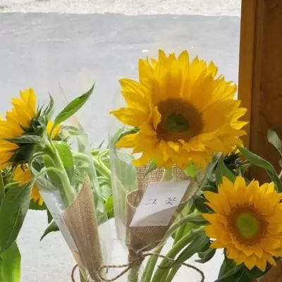 华会体育官方网站首页登录